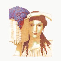 Fattoria di Montemaggio S.r.l logo - Similar company to Comitato Addiopizzo