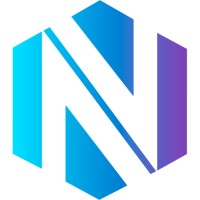NetVision logo - Similar company to Net-Vision