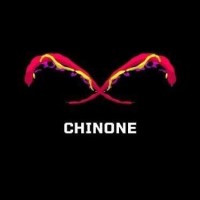 Chinone logo - Similar company to Zist Technologies