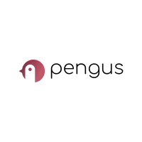 Pengus Technologies logo - Similar company to Bivale