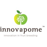 Innovapome logo - Similar company to Ipn Global