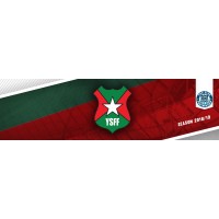 Young Stars Football First logo - Similar company to Lerins Technology