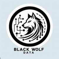 Black Wolf Data LLC logo - Similar company to Black Wolf