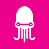 Octoki logo - Similar company to Logrise