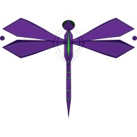 Dragonfly Audio logo - Similar company to Dunes Audio Visual