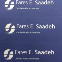 Bureau Fares Saadeh logo - Similar company to Magnum Equities