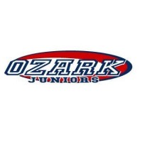 Ozark Juniors Volleyball Club logo - Similar company to Lindsey & Associates