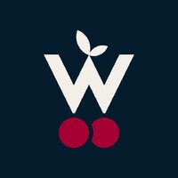 Wiśniewski logo - Similar company to Elektra Tychy