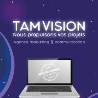 Tamvision logo - Similar company to Chaobenji