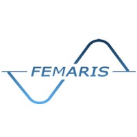 Femaris SRL logo - Similar company to Barebyte Software