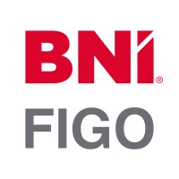 BNI FIGO logo - Similar company to Dgt Info S.R.L.