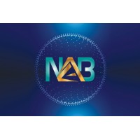 Nadin Andishan Borna logo - Similar company to Erutech