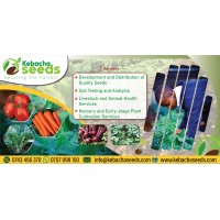Kebacha Seeds and Farm support logo - Similar company to Elixerr Solutions