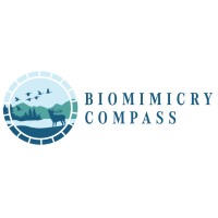 Biomimicry Compass logo - Similar company to Bio-Inspired Research & Development (Bird) Laboratory, Photonics Devices & Sensors (Pds) Laboratory