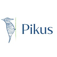 Pikus Consultants logo - Similar company to Ky.Web.Tr