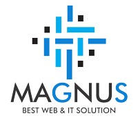 Magnus Web Design & Medical Technologies logo - Similar company to Design Astero