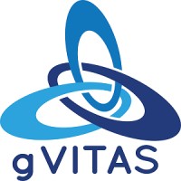 Global Value IT Advisory Services Pvt. Ltd.