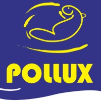 POLLUX logo - Similar company to Digiliance