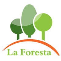 SCLaForesta logo - Similar company to A&Pi Capital International
