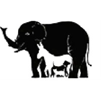 Generation4 Consulting Company Limited