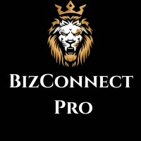 BizConnect market logo - Similar company to Celestialcraft