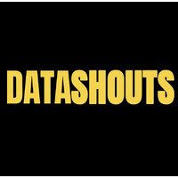 DataShouts logo - Similar company to Sas Tech Systems