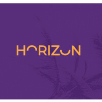 Horizon Business Solutions logo - Similar company to Horizon Solutions Llc