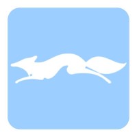 Ms Fox Real Estate Group