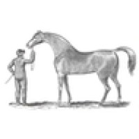 Kentucky Equine Management