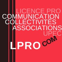 Licence professionnelle 