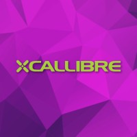 Xcallibre Pty LTD logo - Similar company to Daita (Pty) Ltd