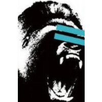 SkyKong logo - Similar company to Giftmate