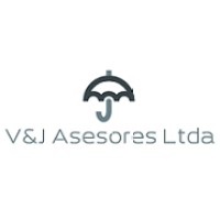 V&J Asesores Ltda
