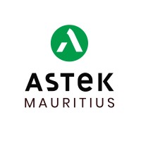 Astek Mauritius logo - Similar company to Bocasay Maurice