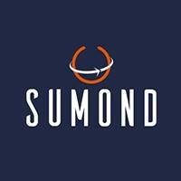Sumond Viagens logo - Similar company to Sumondo