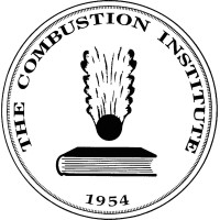 The Combustion Institute logo - Similar company to Thiru & Doyle, Llc