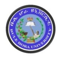 Bule Hora University logo - Similar company to Arsi University