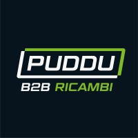 Puddu Ricambi Auto logo - Similar company to Auto Allegri