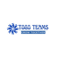 TOGO Teams logo - Similar company to Rexcel It Services