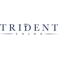 Trident Union Pte Ltd logo - Similar company to Vantage Analytica