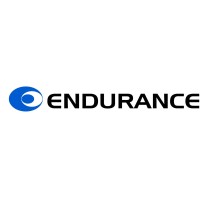 Endurance Overseas logo - Similar company to Bcb S.R.O.