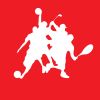 PRO SPORTS BRAZIL logo - Similar company to Futsal Connect