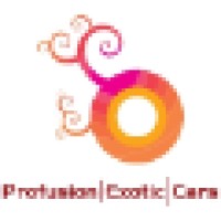 Profusion Exotic Cars logo - Similar company to Profusion Exhausts Ltd