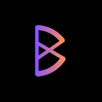 Borx Robotics logo - Similar company to Vh Software Entwicklung