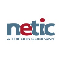 Netic logo - Similar company to Neogrid Technologies Aps