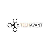 Techavant logo - Similar company to Virtually Maiy (Reliable Va)