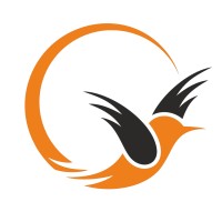 ORIOLE LABS logo - Similar company to Visual Infosystems Private Limited