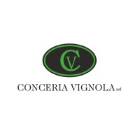 Conceria Vignola Srl logo - Similar company to Nappi Group