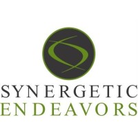 Synergetic Endeavors logo - Similar company to Primacy Strategy Group
