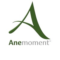 Anemoment Llc